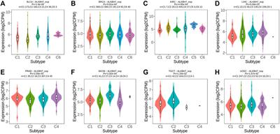 A Pan-Cancer Analysis Reveals the Prognostic and Immunotherapeutic Value of ALKBH7